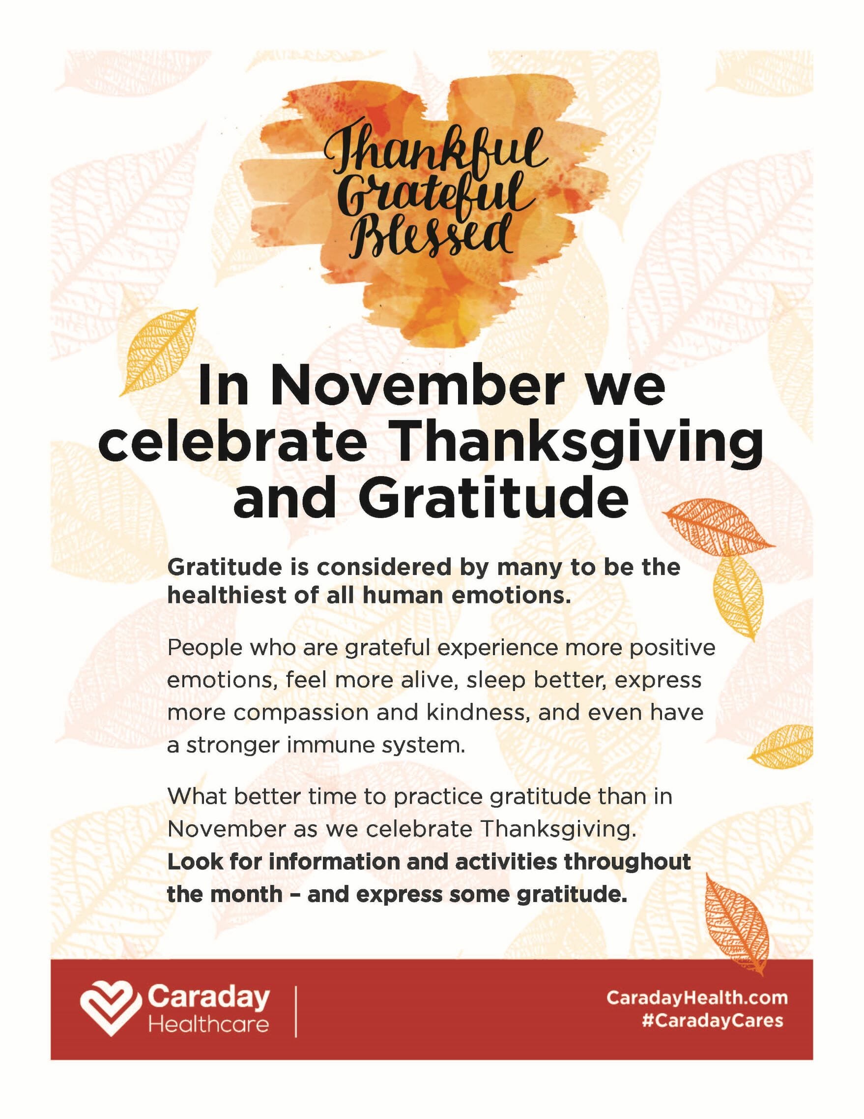 Thanksgiving Day: A Time for Gratitude