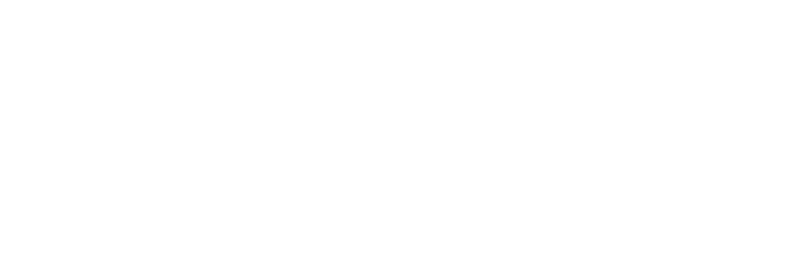 caraday-mineola-logo-white