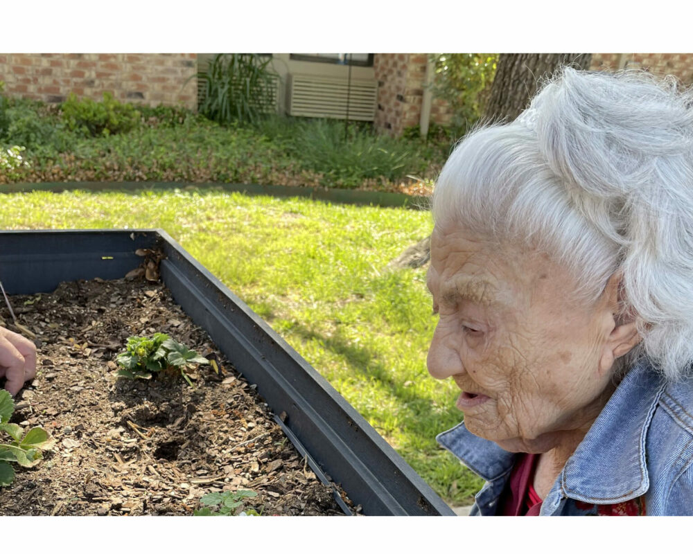 Meadow Creek Nursing Home and Short-Term Rehabilitation, San Angelo